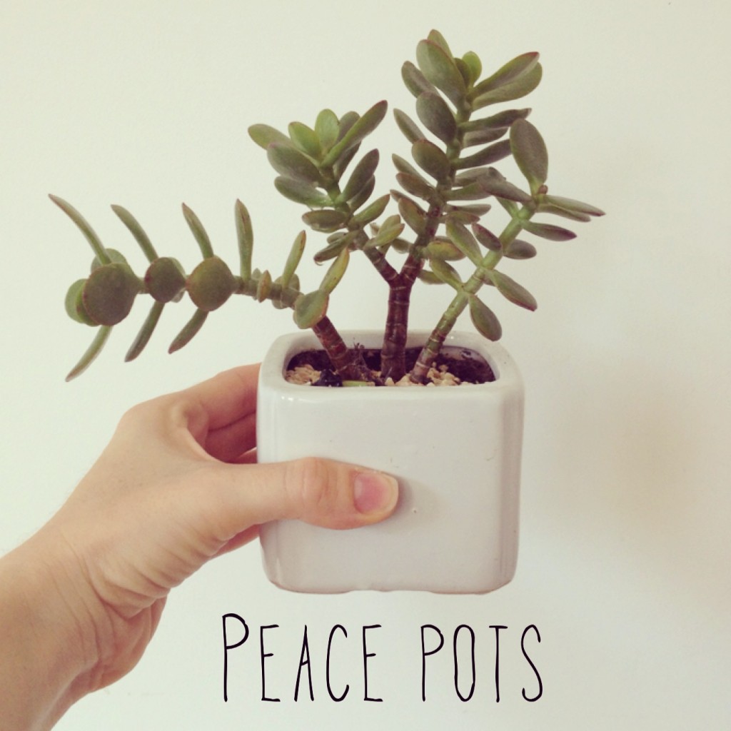 peace pots